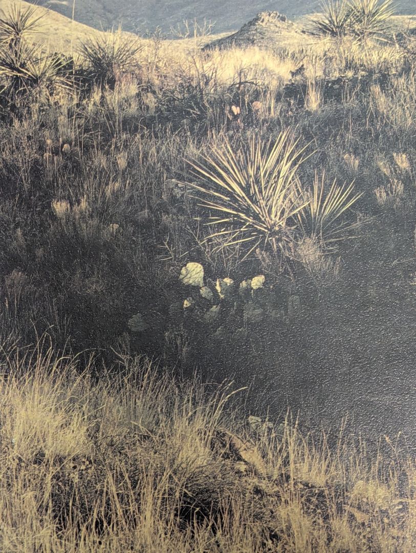 Desert Mountain Landscape Photographic Print