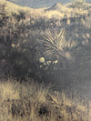 Desert Mountain Landscape Photographic Print