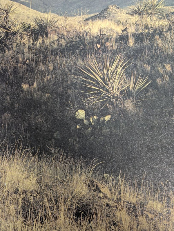 Desert Mountain Landscape Photographic Print