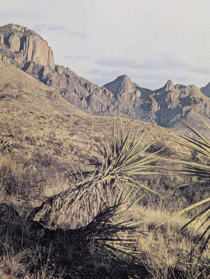 Desert Mountain Landscape Photographic Print