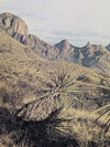 Desert Mountain Landscape Photographic Print