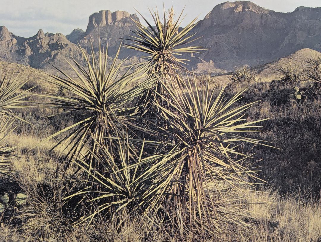 Desert Mountain Landscape Photographic Print