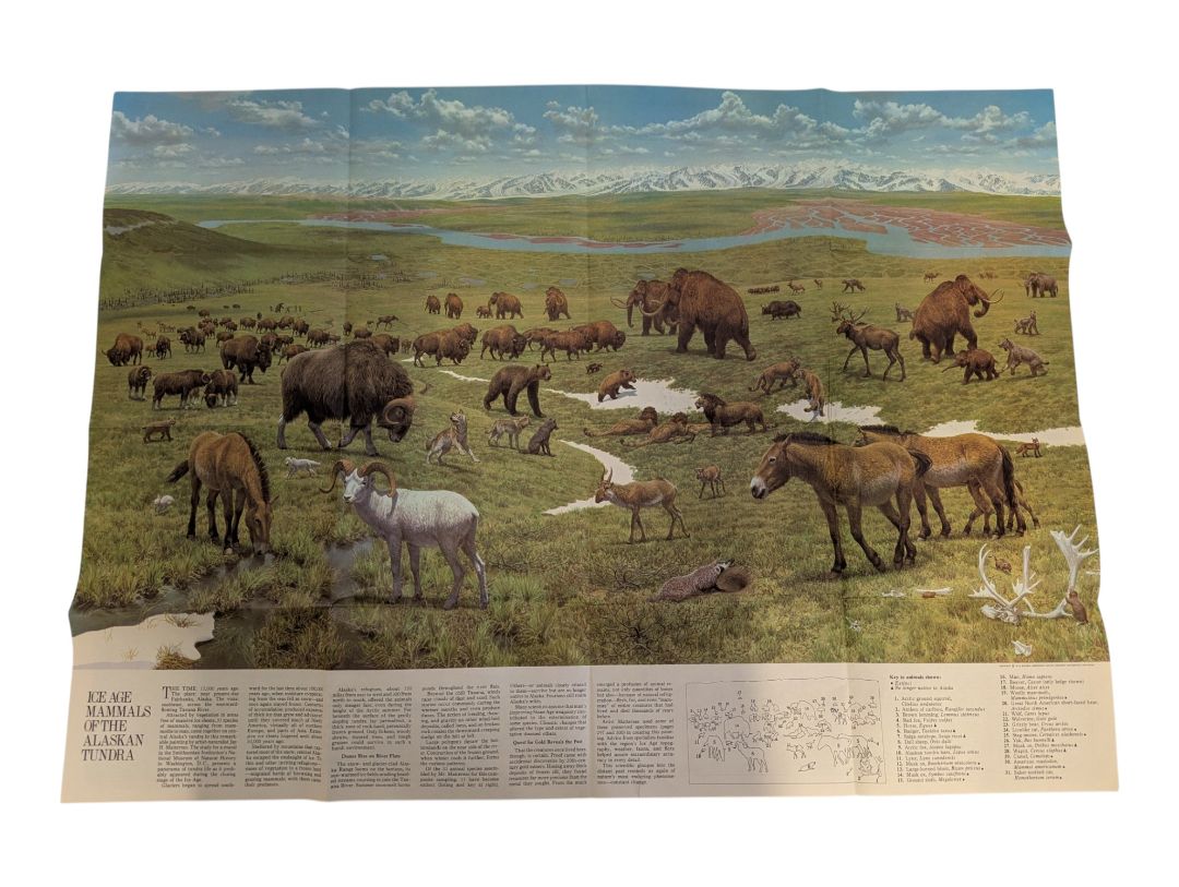 Collection of 6 Vintage National Geographic Maps – Canada, World & Rockies