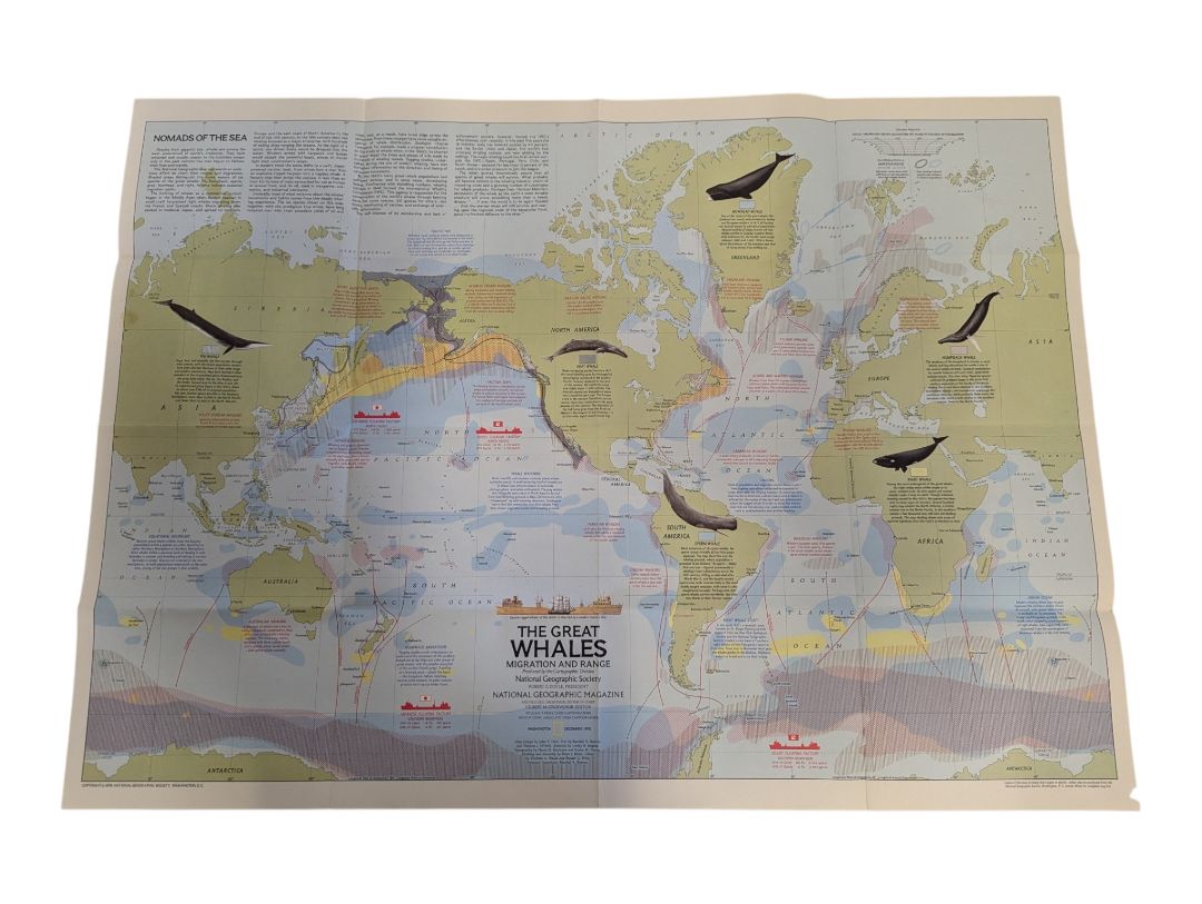 Collection of 6 Vintage National Geographic Maps & Educational Supplements