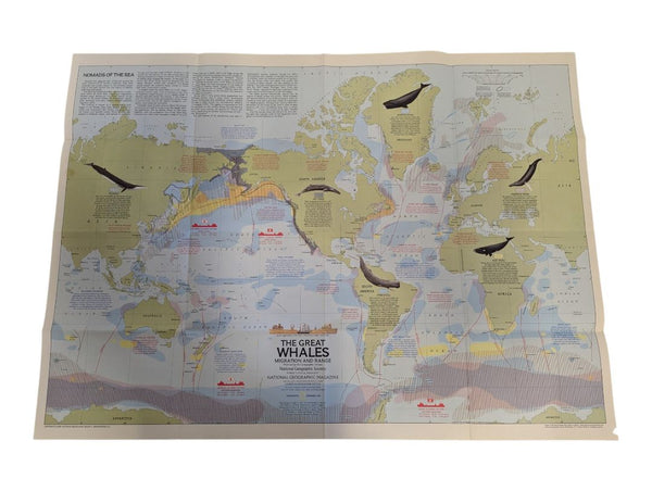 Collection of 6 Vintage National Geographic Maps & Educational Supplements