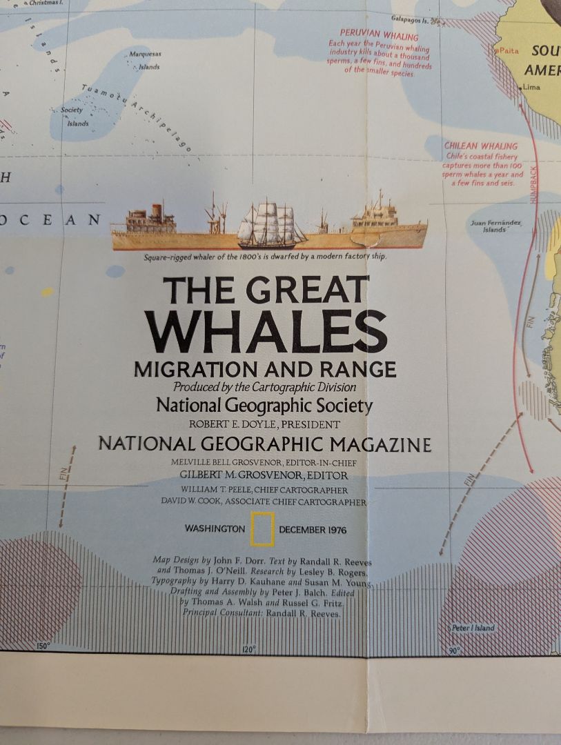 Collection of 6 Vintage National Geographic Maps & Educational Supplements