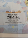 Collection of 6 Vintage National Geographic Maps & Educational Supplements