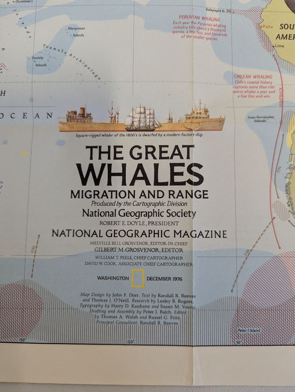 Collection of 6 Vintage National Geographic Maps & Educational Supplements