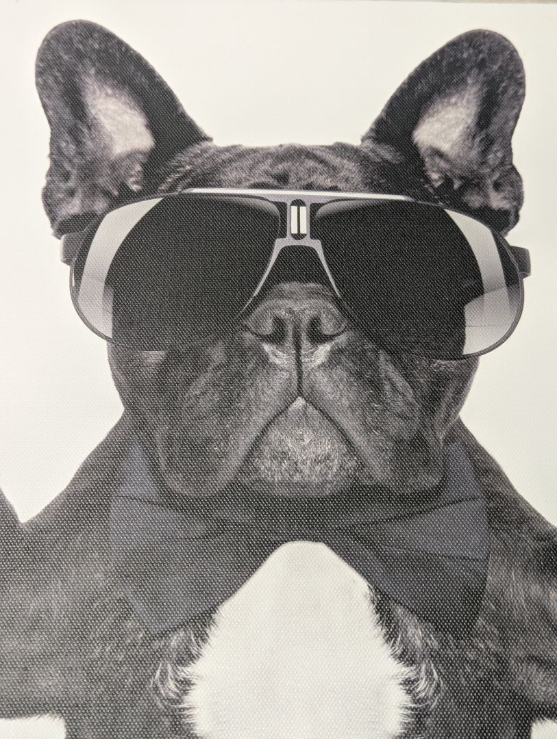French Bulldog Peace Sign Canvas Wall Art