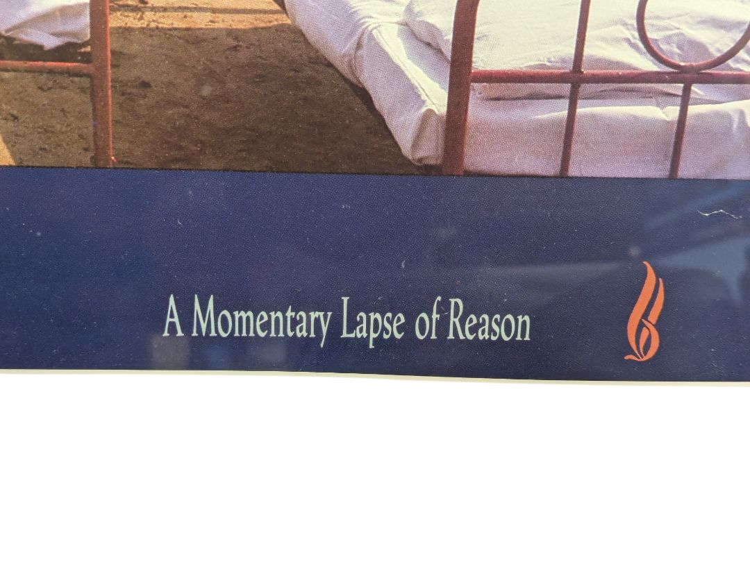 Pink Floyd “A Momentary Lapse of Reason” Framed Poster