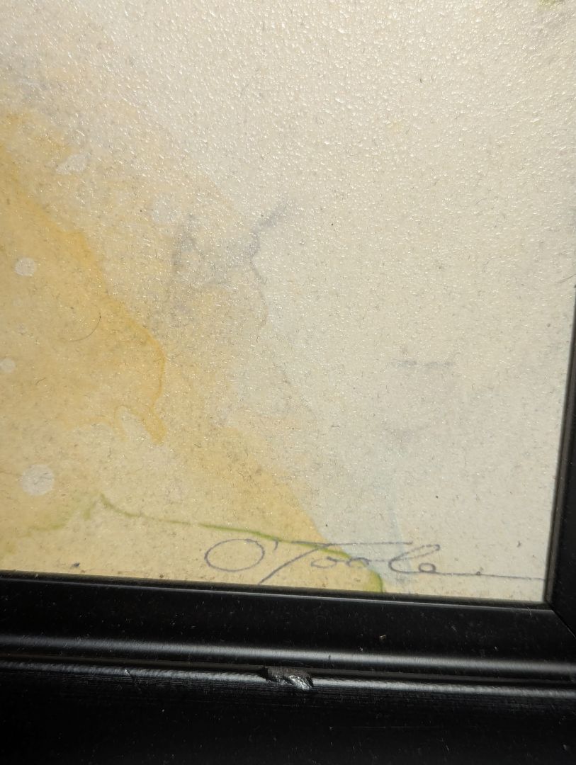 Signed Abstract Floral Artwork in Black Frame