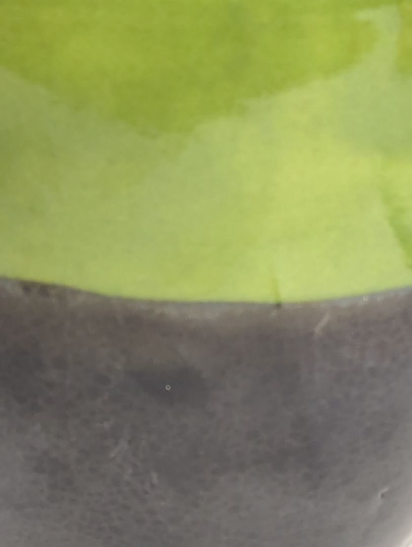 Two-Tone Green & Charcoal Ceramic Planter