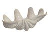 Handmade Fine Bone China Sculptural Shell Bowl