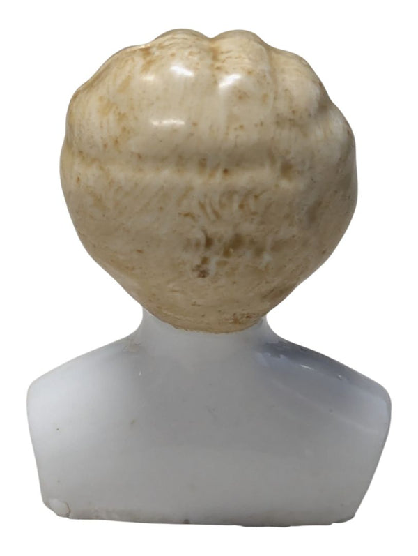 Antique Bisque Porcelain Doll Head & Shoulder Bust