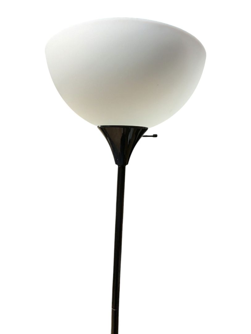 Black Dual-Light Floor Lamp with Reading Arm