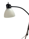 Black Dual-Light Floor Lamp with Reading Arm