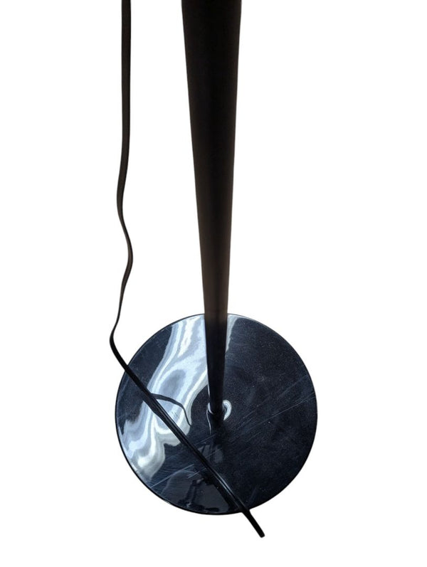 Black Dual-Light Floor Lamp with Reading Arm