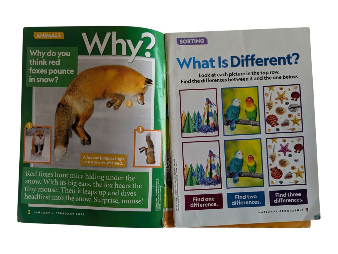National Geographic Little Kids Magazines – Set of 3