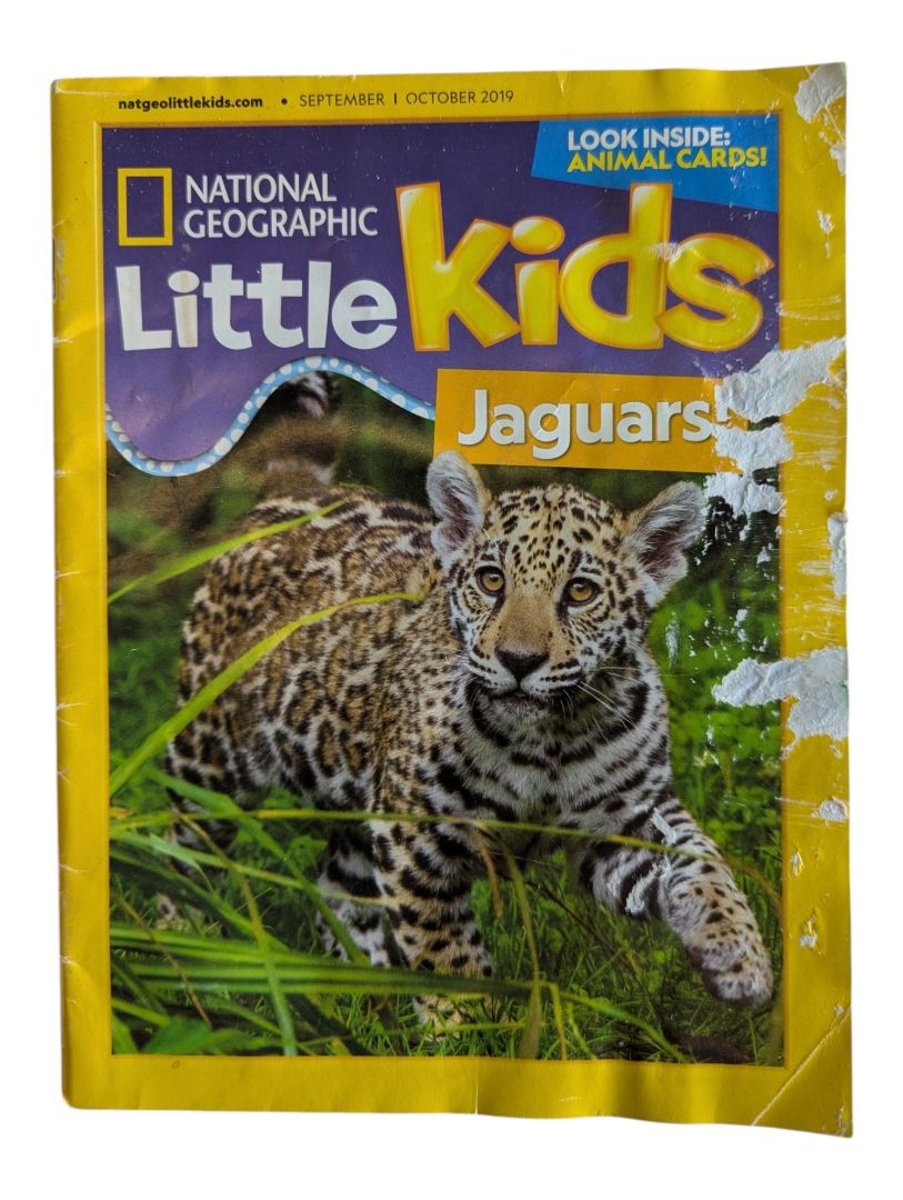 National Geographic Little Kids Magazines – Set of 3