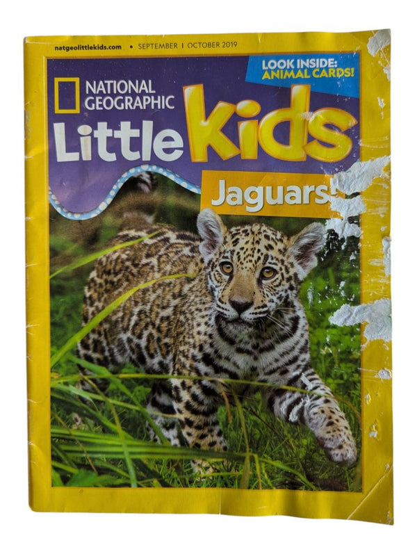 National Geographic Little Kids Magazines – Set of 3