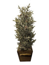 Flocked Cedar Christmas Trees in Wood Planter Box - Holiday Centerpiece