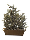 Flocked Cedar Christmas Trees in Wood Planter Box - Holiday Centerpiece