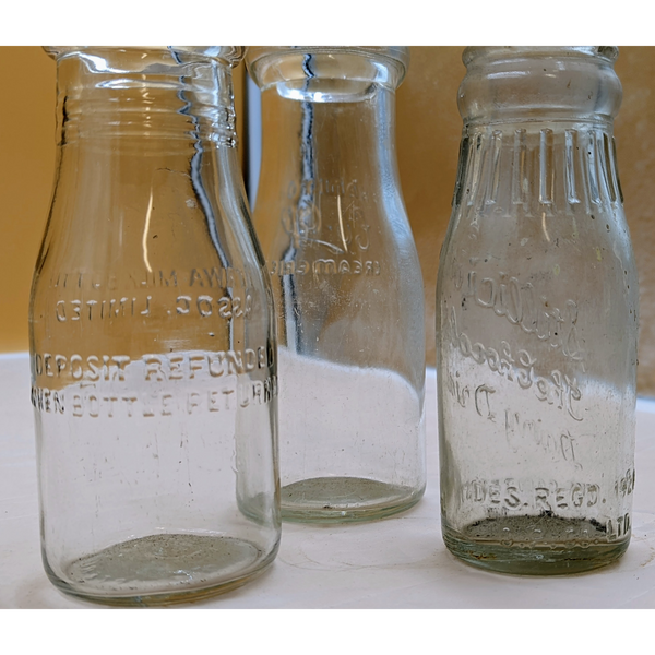 Stillicious Bottle Lot Furniture & Home Decor KW Consignment Inc. 42.00